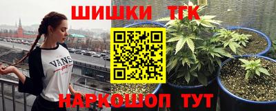 гидра Краснодар