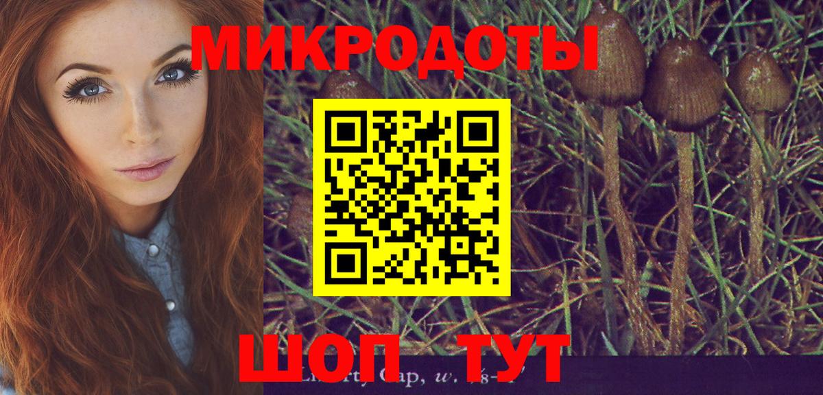 Галлюциногенные грибы Magic Shrooms Звенигород